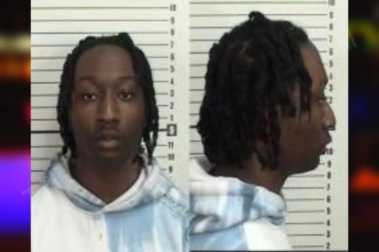 Robin Williams mugshot – Richmond County , Georgia Robin Williams