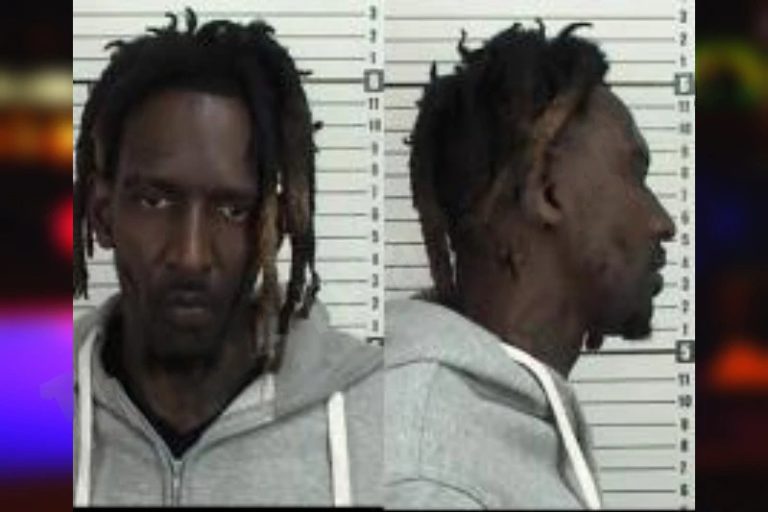 Rodericus Larry mugshot – Camden County , Georgia Rodericus Larry