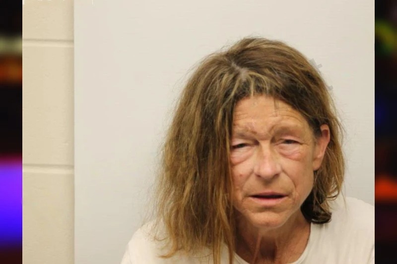 Rosemary Sutton mugshot – Chatham County , Georgia Rosemary Sutton mugshot