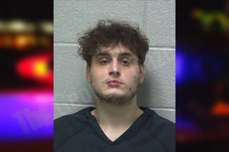 Ross Farnoly mugshot – Gilmer County , Georgia Ross Farnoly