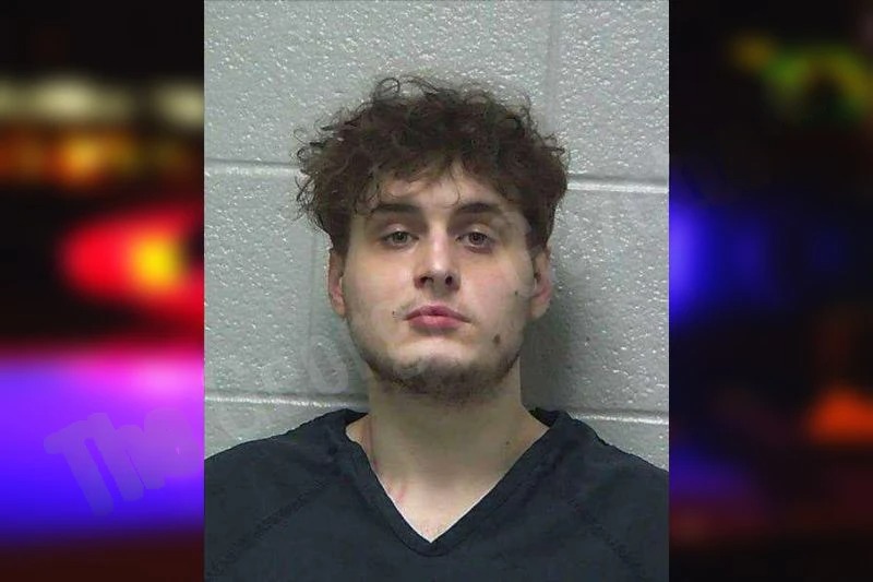 Ross Farnoly Mugshots