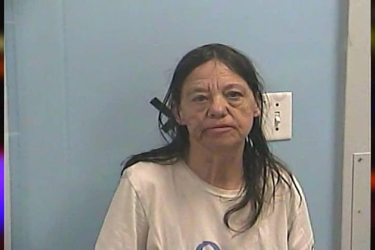 Ruth Porter mugshot – Dawson County , Georgia Ruth Porter