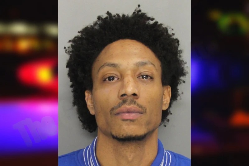 Ryan Mannings Mugshots