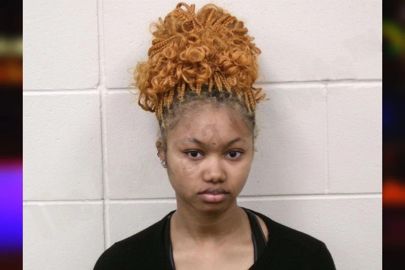 Ryan Palmer Mugshots