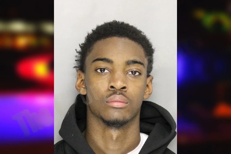 Ryheim Peace Mugshots