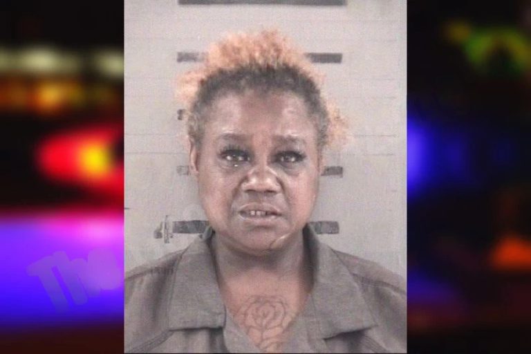 Sabrena Bryant mugshot – Dougherty County , Georgia Sabrena Bryant