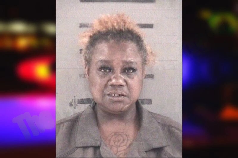 Sabrena Bryant mugshot – Dougherty County , Georgia Sabrena Bryant mugshot