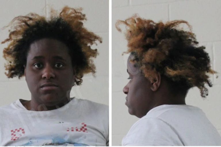 Sade Squires mugshot – Dawson County , Georgia Sade Squires