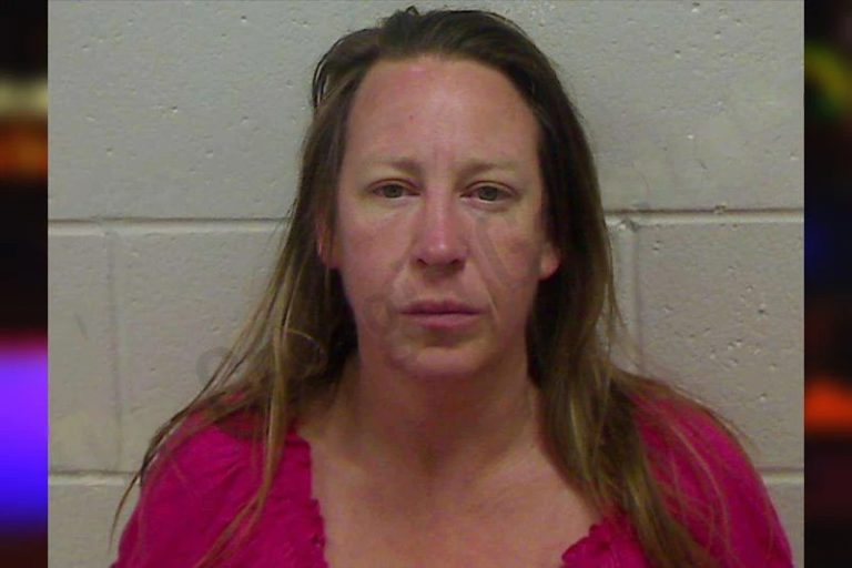 Salena Dyches mugshot – Bulloch County , Georgia Salena Dyches