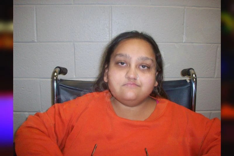 Salena Pathan mugshot