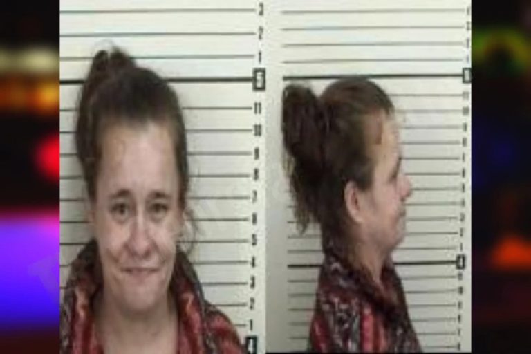 Samantha Bryant mugshot – Camden County , Georgia Samantha Bryant