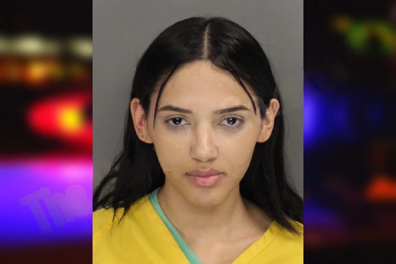 Samantha Puerto Mugshots