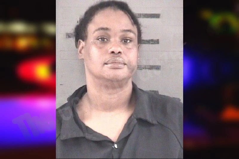 Sandra Bell mugshot – Dougherty County , Georgia Sandra Bell mugshot