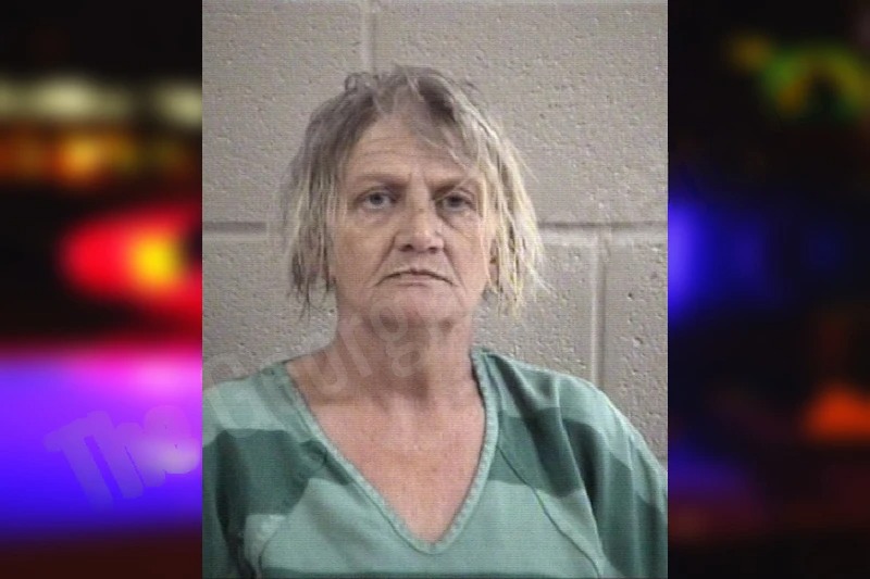 Sandra Fowler mugshot