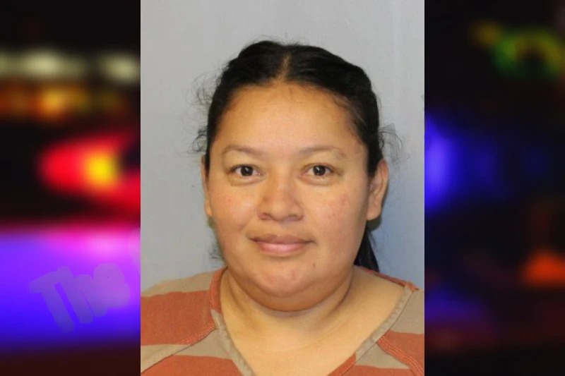 Sandra Gutierrez Gonzalez Mugshots