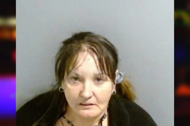 Sandra Hall mugshot – Fulton County , Georgia Sandra Hall