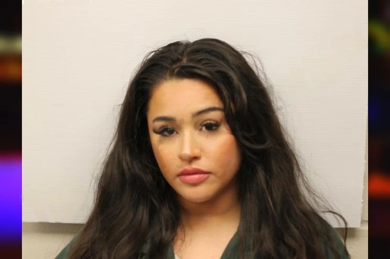 Sandra Navarrete mugshot