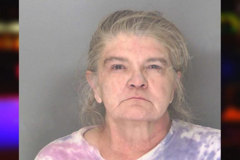 Sandra Wells mugshot – Cobb County , Georgia Sandra Wells