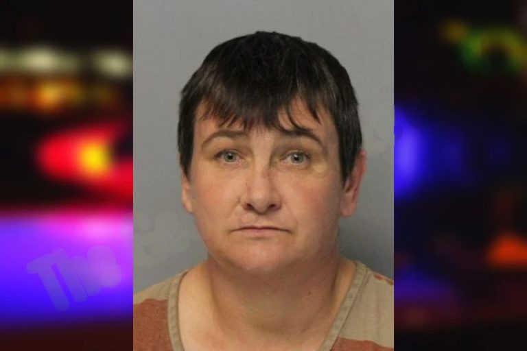 Sandy Free mugshot – Hall County , Georgia Sandy Free