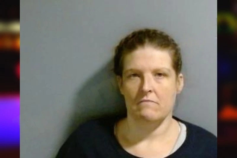 Sara Brimer Mugshots