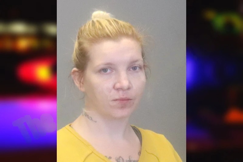 Sara Fisher Mugshots