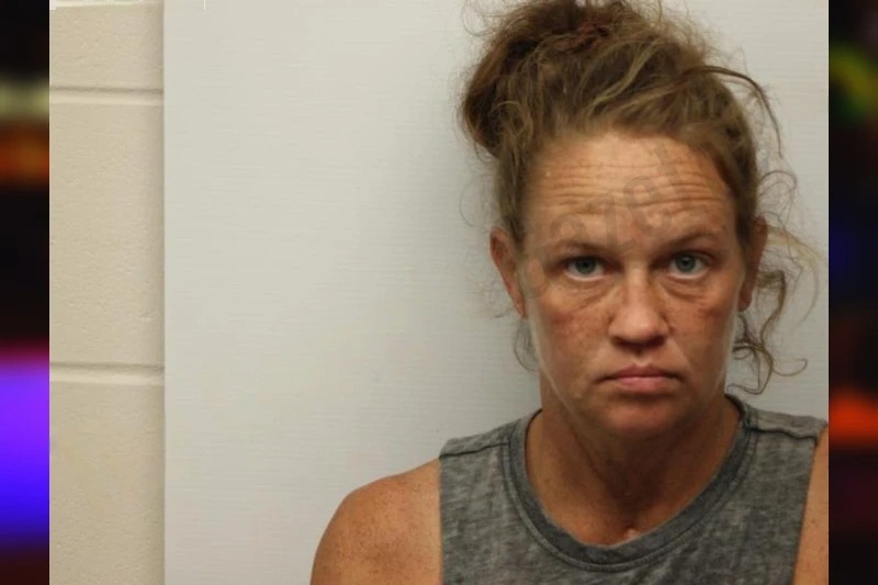 Sarah Seymour mugshot – Chatham County , Georgia Sarah Seymour mugshot