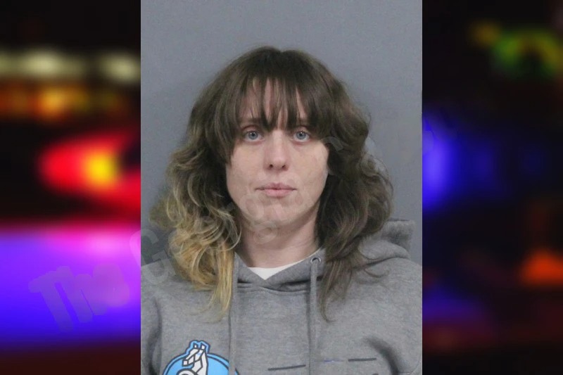 Savanah Hunter Mugshots