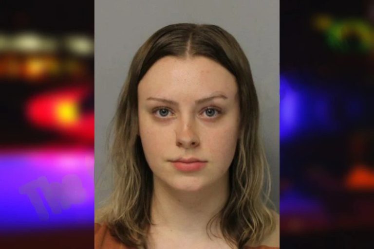Savannah Degripp mugshot – Hall County , Georgia Savannah Degripp