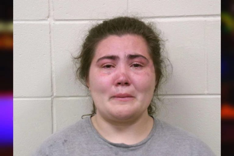 Savannah Kahn mugshot – Bulloch County , Georgia Savannah Kahn