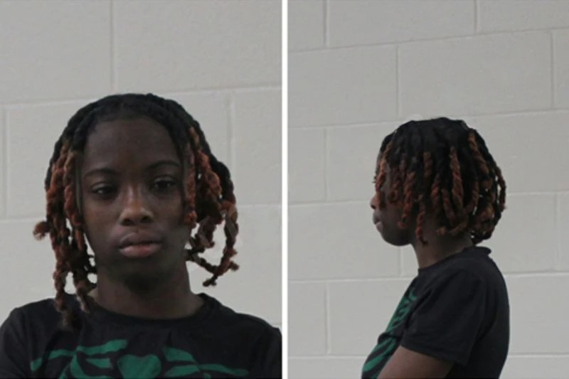 Serena Cook Mugshots