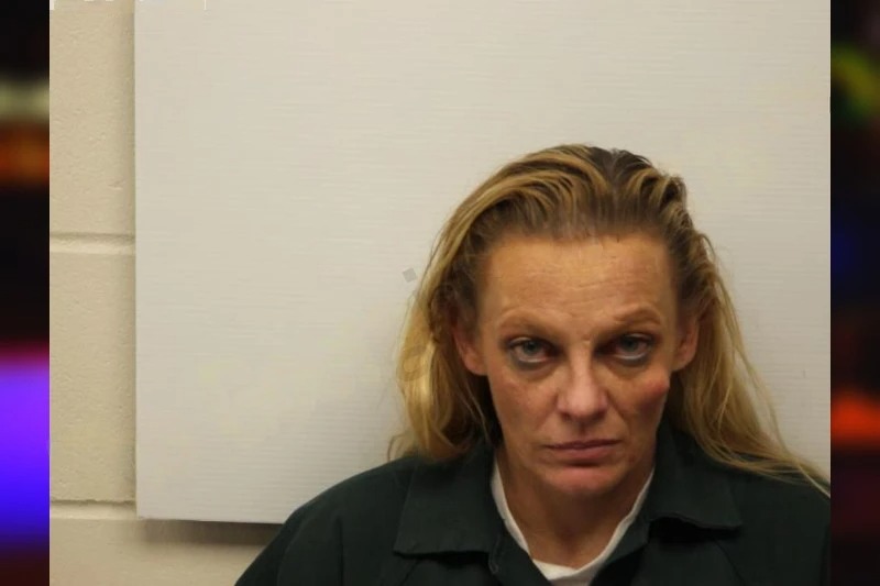 Serin Nelson mugshot – Chatham County , Georgia Serin Nelson mugshot