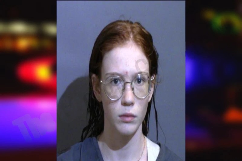 Shaelyn Wilmes mugshot