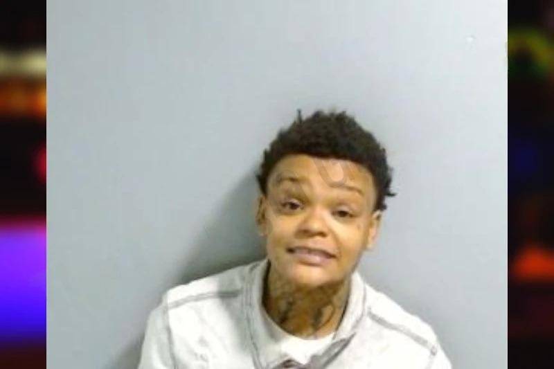 Shamaria Palmer Mugshots
