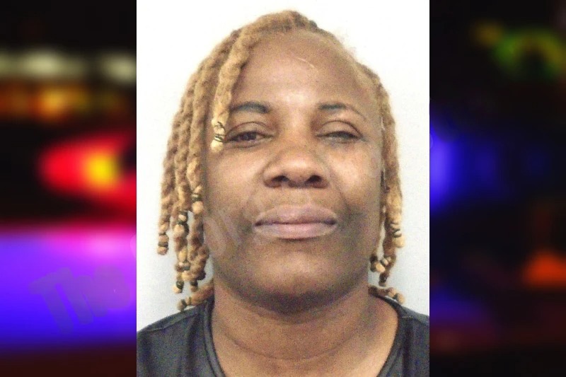 Shameka Ellison Mugshots