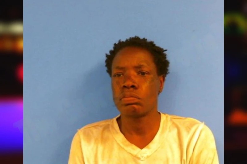 Shanara Dash Mugshots