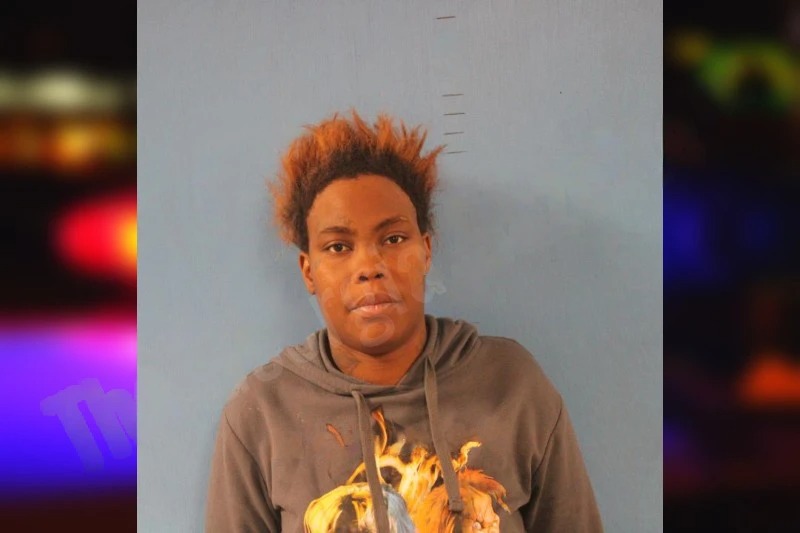 Shania Patterson Mugshots