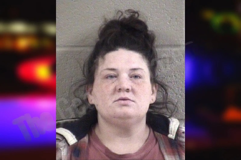 Shanna White mugshot