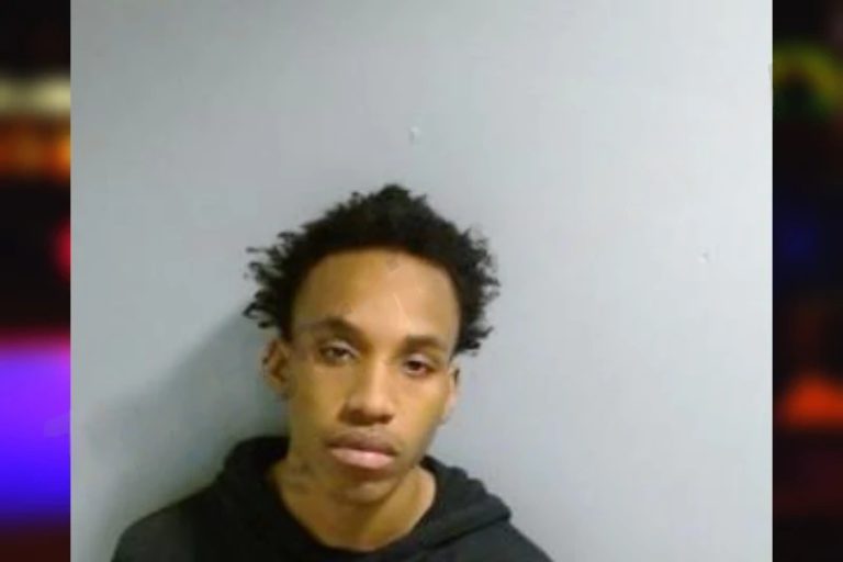 Shannon Brown mugshot – Fulton County , Georgia Shannon Brown