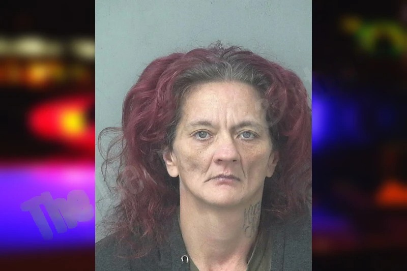 Shannon Key Mugshots