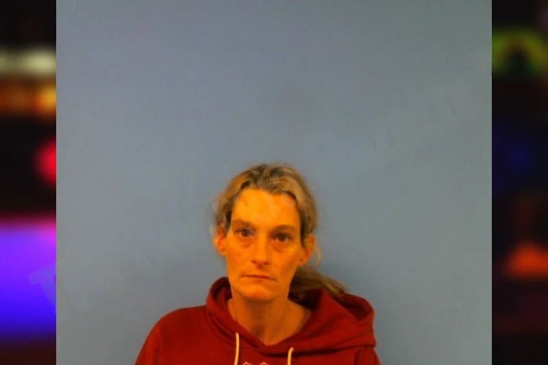 Shannon Means Mugshots