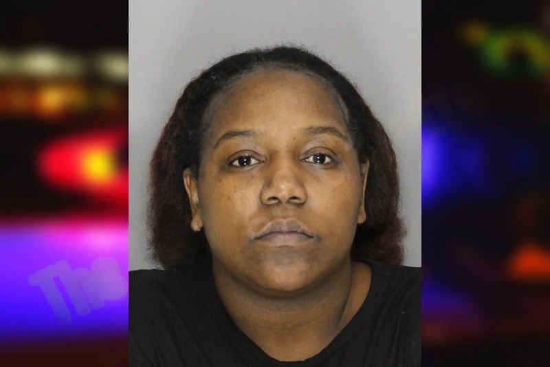 Shantavia McDowell mugshot – Cobb County , Georgia Shantavia McDowell mugshot