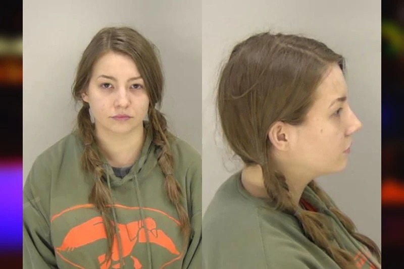 Shasity Sousa mugshot