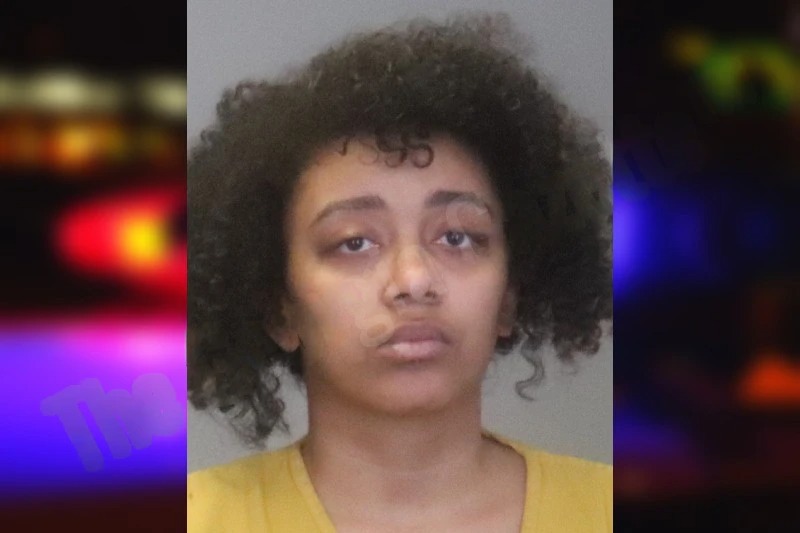 Shayla McGowan Mugshots