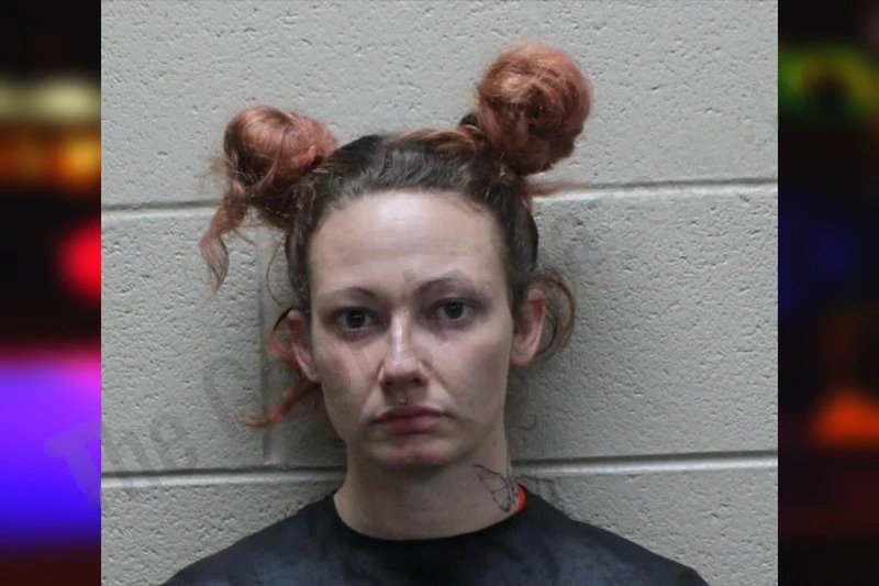 She’Anna Skinner mugshot