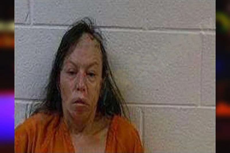 Sheena Laroche Mugshots