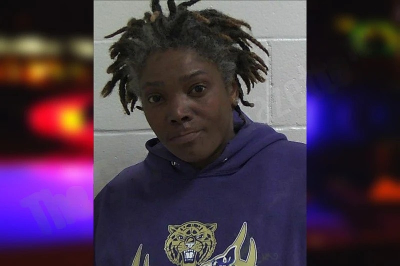 Shekethe Session Mugshots