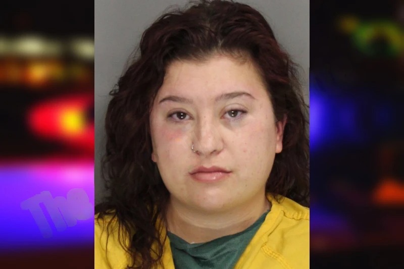 Shelbie Riggle mugshot – Cobb County , Georgia Shelbie Riggle mugshot