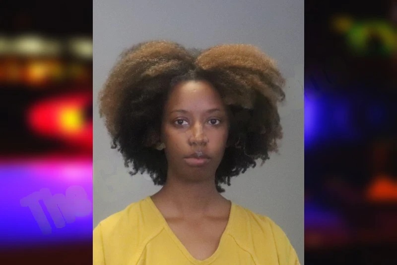Sheneka Hughley mugshot