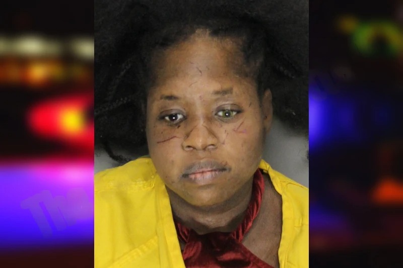 Sherise Tigner mugshot – Cobb County , Georgia Sherise Tigner mugshot