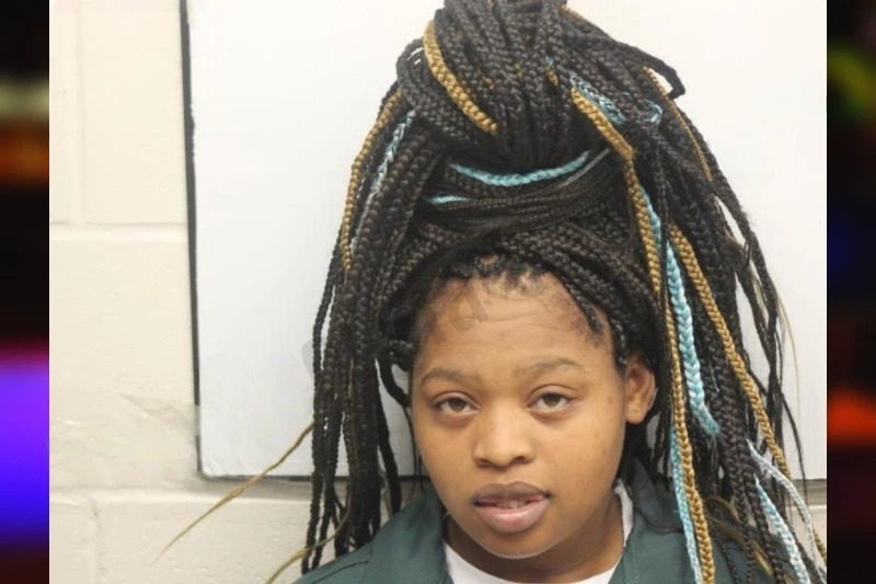 Sherraine Johnson mugshot